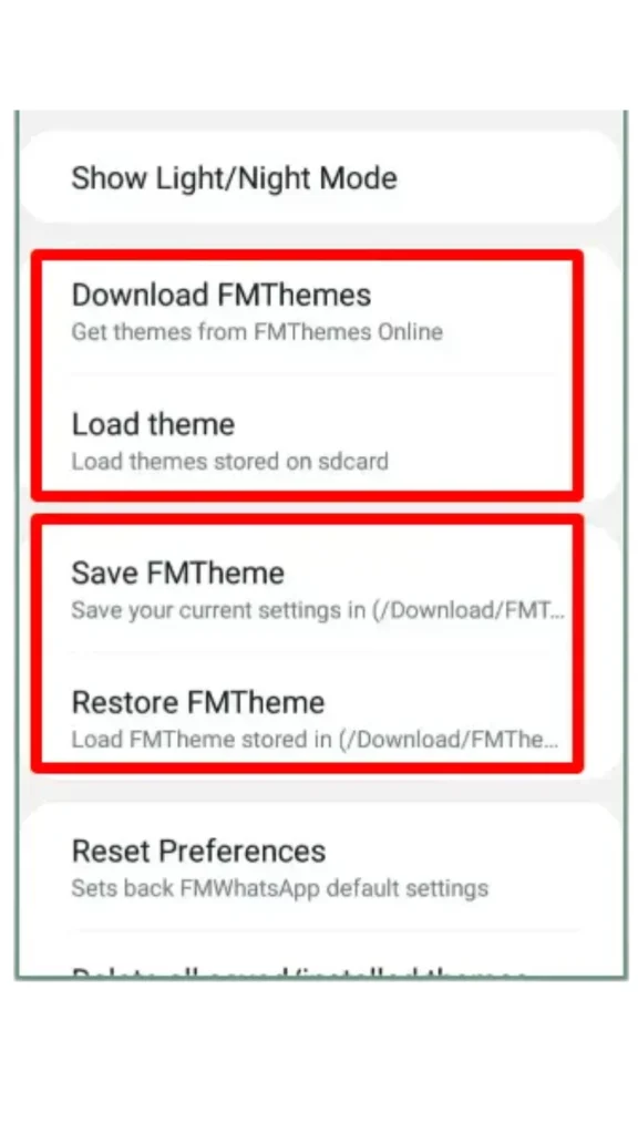 FM WhatsApp Theme Feature