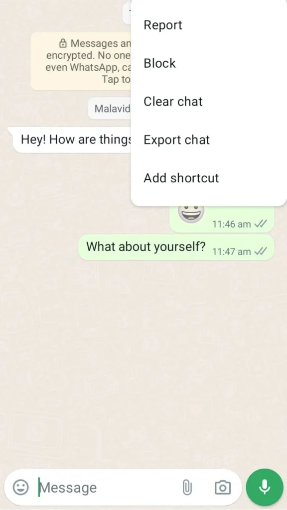 WhatsApp Plus Advanced Privacy Options Feature